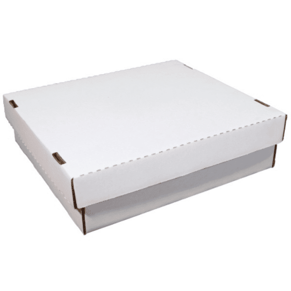 3200 Count Card Storage Box - 1 Pack | Woodhaven Trading Firm